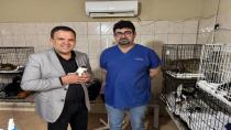 Satın alma sahiplen